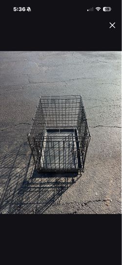 Cage dog small size 19x21x21