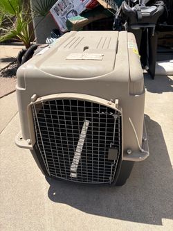 Dog kennels/pen