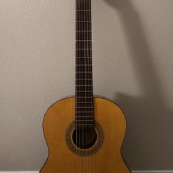 Classical Acoustic Guitar