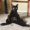 Peanutttbuttter