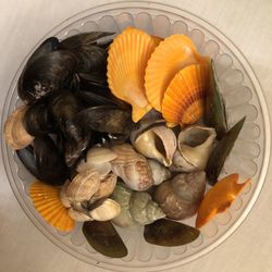 Different Types of National Shells. Please Read Description.