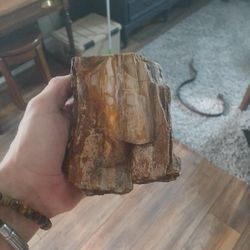 Petrified Wood 5lb Piece