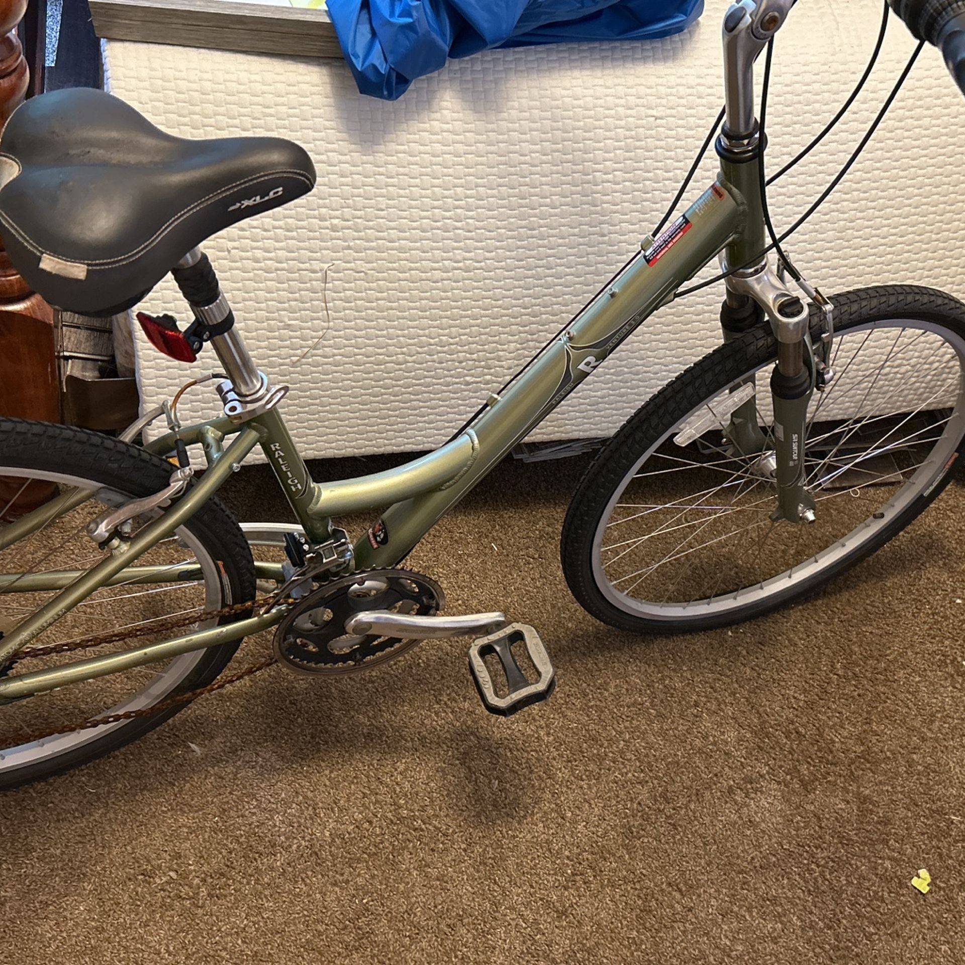 Raleigh 21 Speed Bicycle