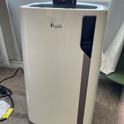 DeLonghi Pinguino Portable AC – $150 