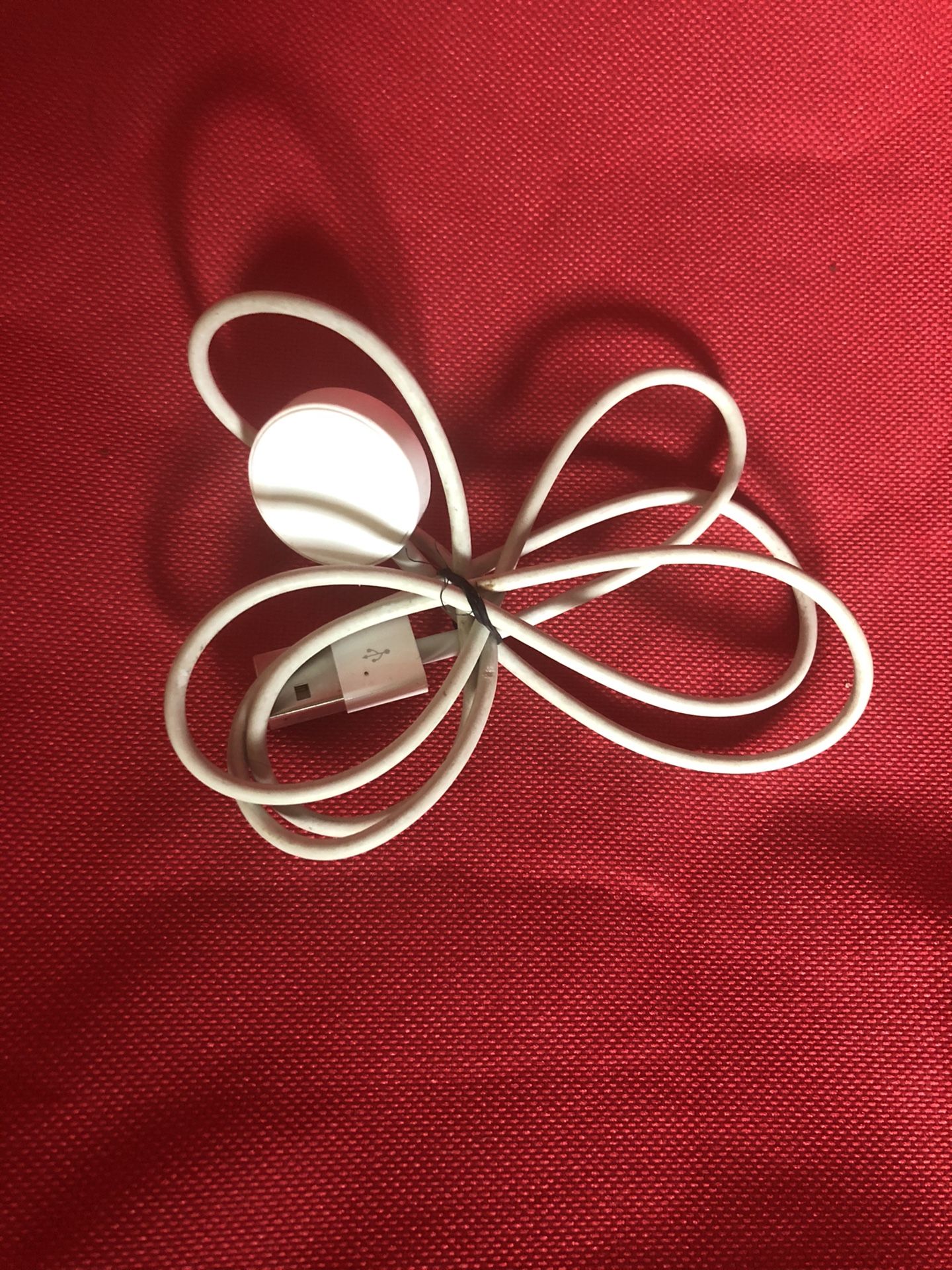 Apple Watch 42mm Charger