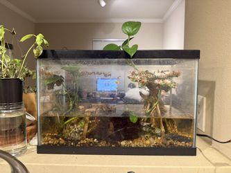 Tank W Everything In It