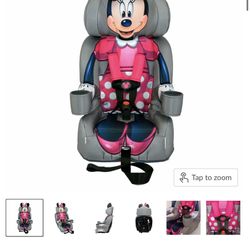 Minnie & Skye Car Seats