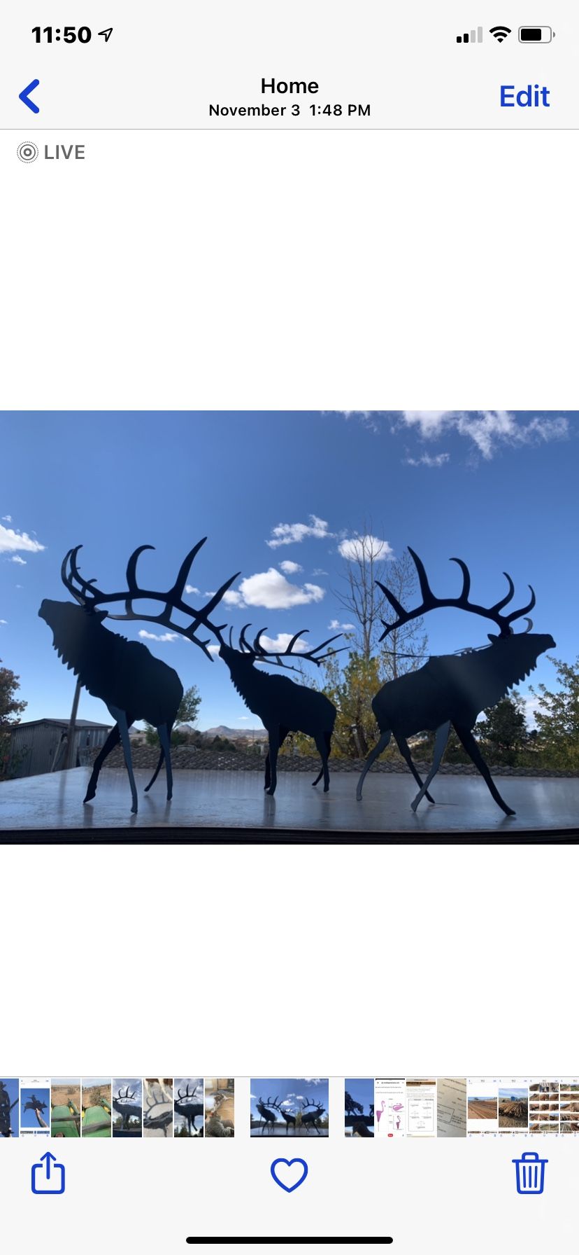 Standing 3-D Elk $35 Each While Supplies Last