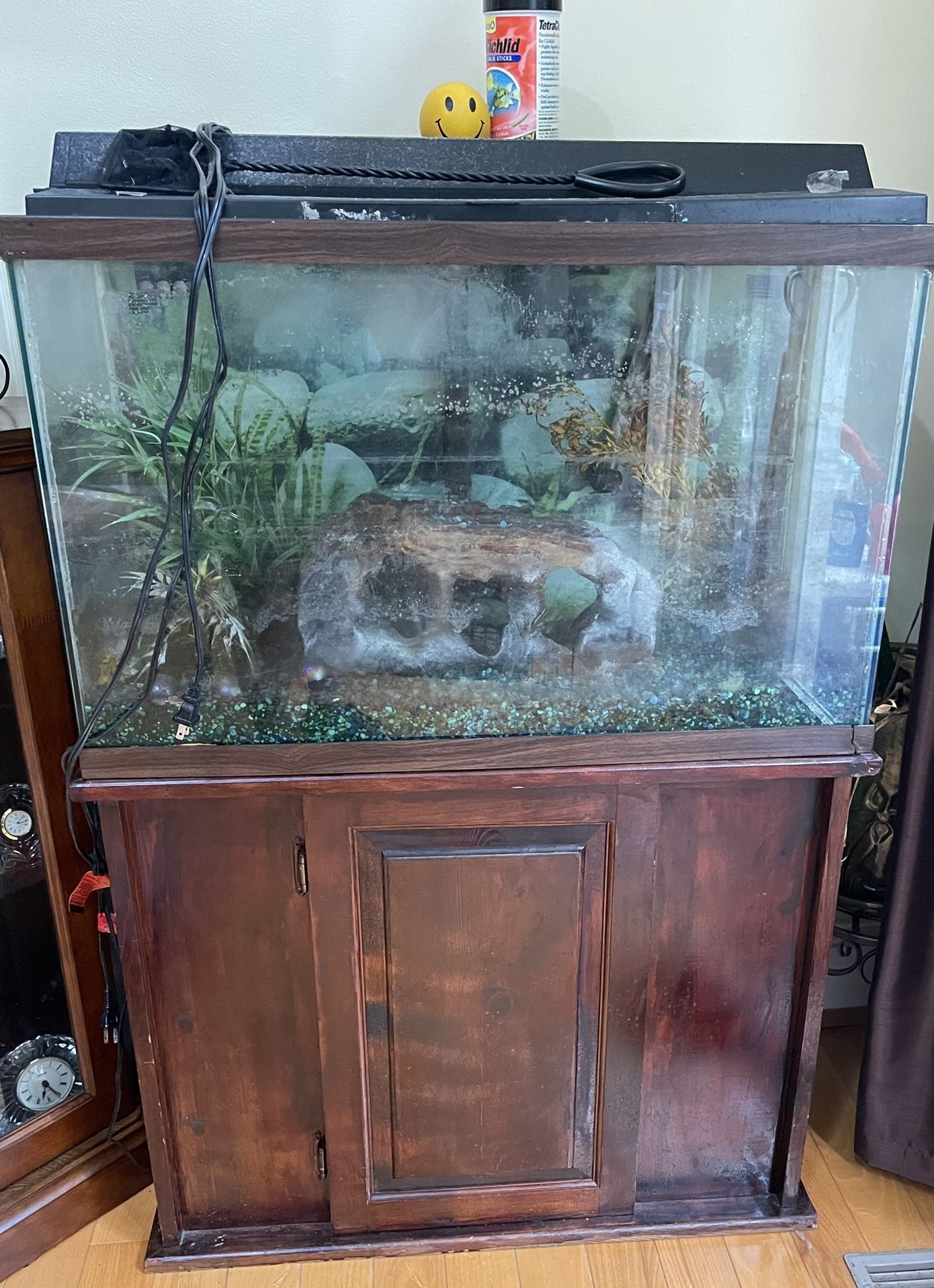 29g Fish Tank