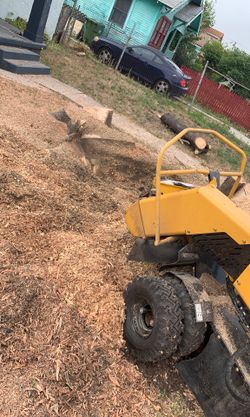 Stump grinding