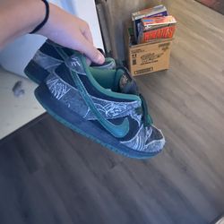 Size 9 Nike sb dunks (extra laces)