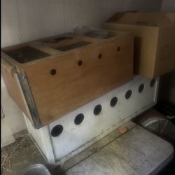 Transport Cage