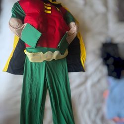 Robin Halloween Costume – Great Condition