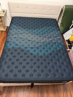 Queen bed and Mattress