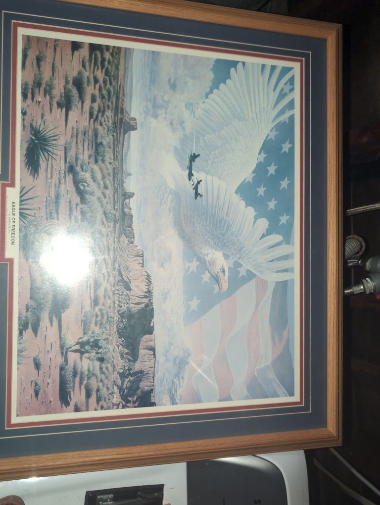 Eagle Of Freedom by Kathleen Hession Framed Artwork.
