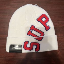 Supreme Big Arc Logo Beanie 