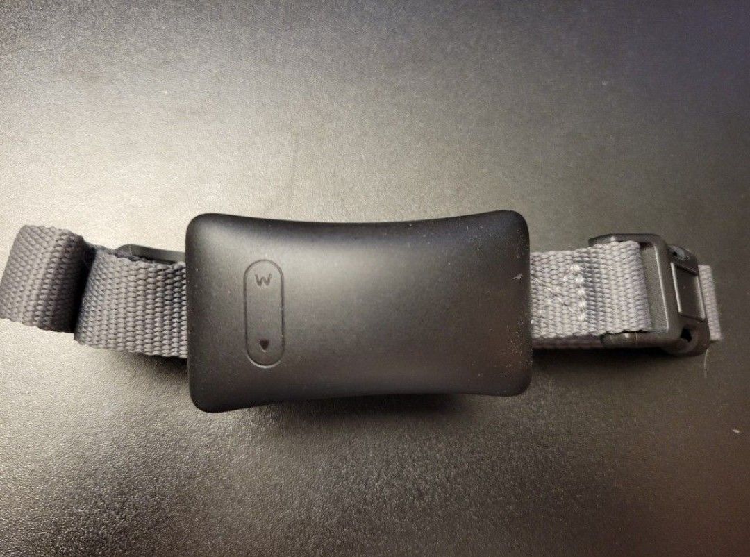 Bark Training Collar