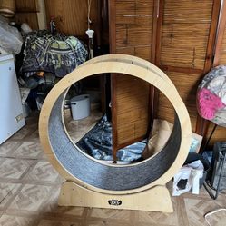 CAT WHEEL