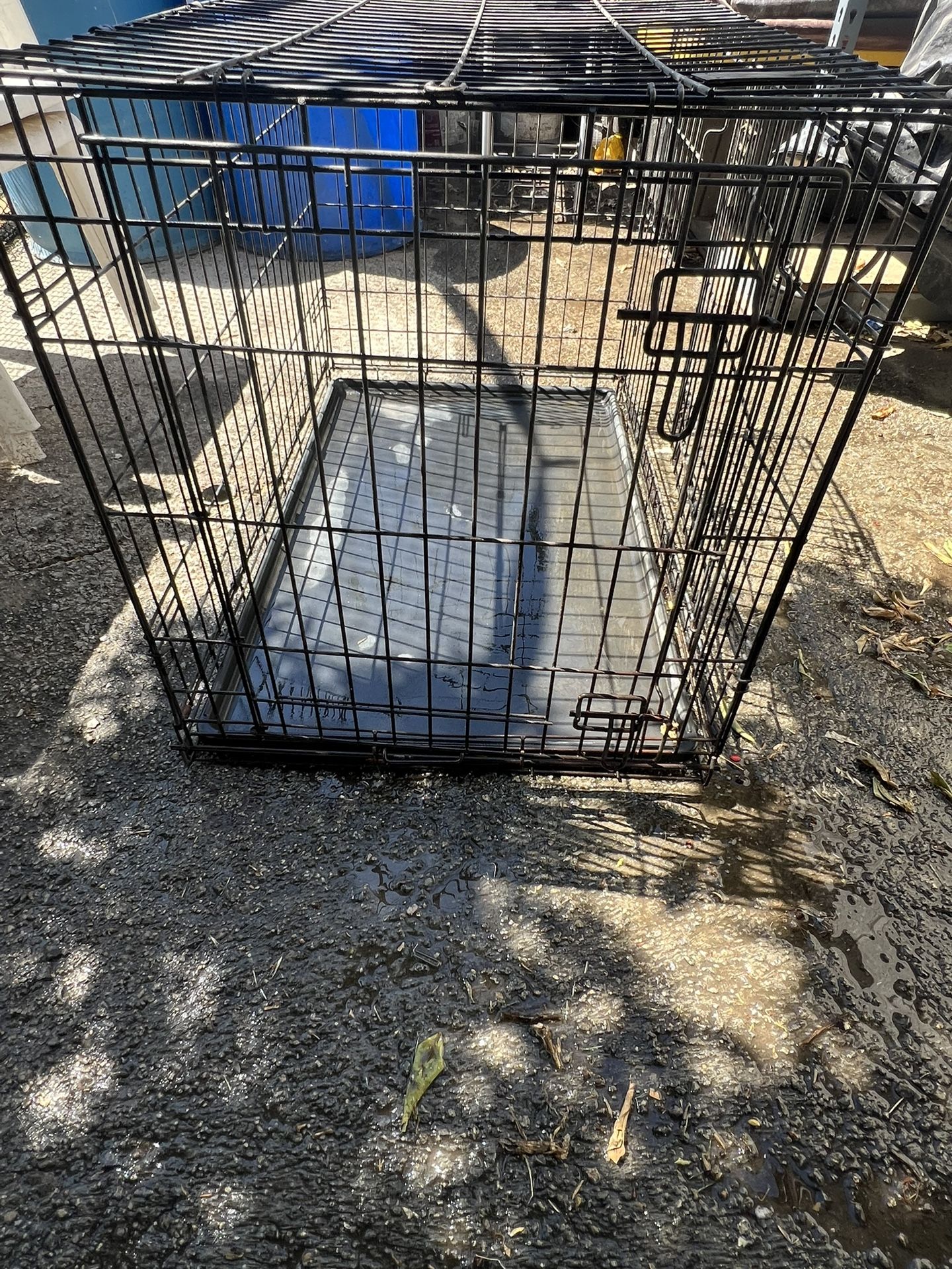 Dog Crate