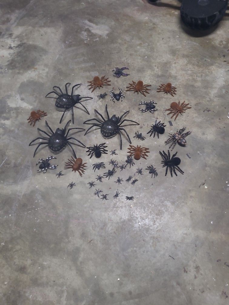 Halloween Spiders Lot