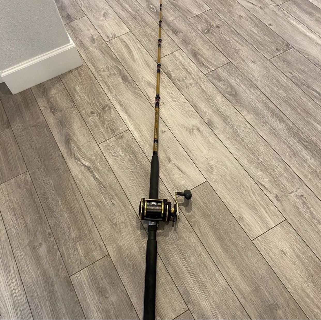 Fishing Pool