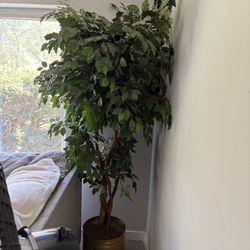 Fake Trees