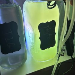 Phytoplankton For Aquarium 