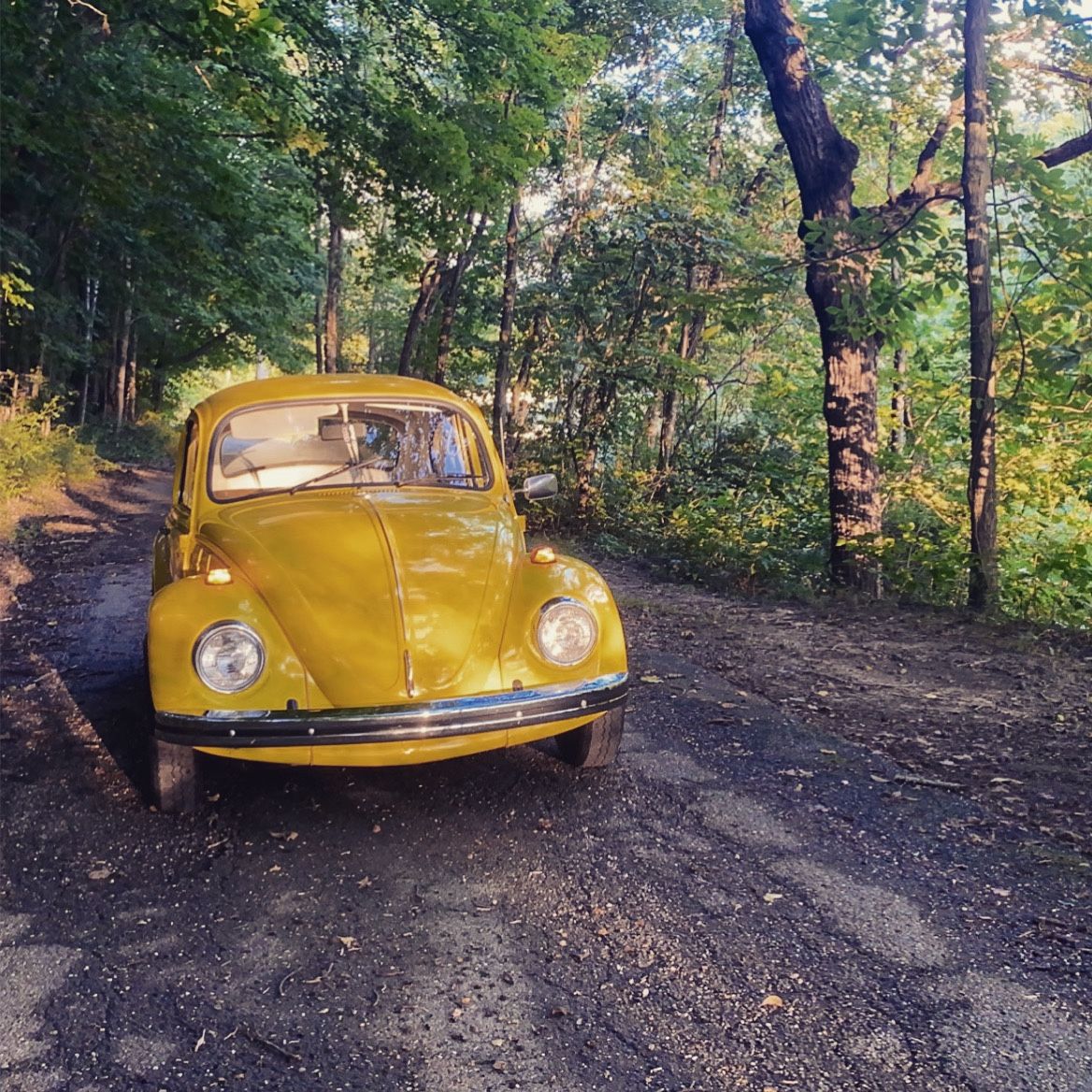 1968 Volkswagen 1600