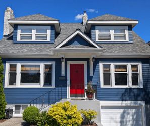 Professional/ affordable painter