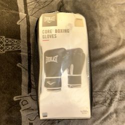 Everlast Boxing Gloves With Boxing Pads