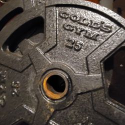 Gold Gym Plates 25 Pound Each 