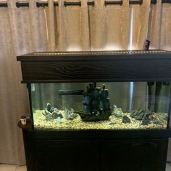 75 Gallon Aquarium