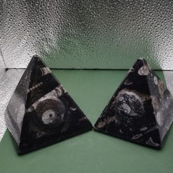 Pyramids Orthoceras With Ammonit Fossil 