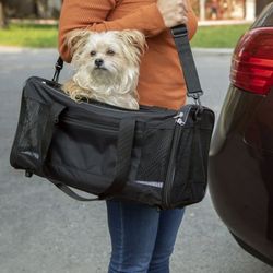 Pet carrier