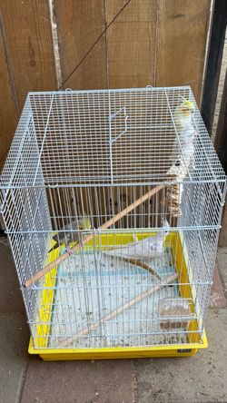 Cage