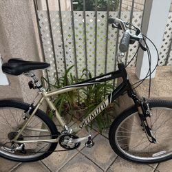Specialized Expedition deluxe aluminum commuter bike