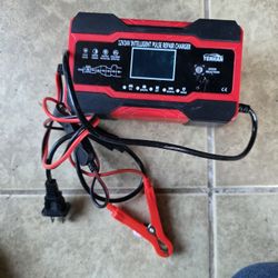 Battery Smart Charger 