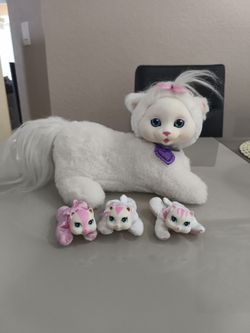 Kitty Surprise