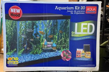 Aquarium kid 20
