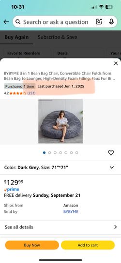 Bean Bag Chair