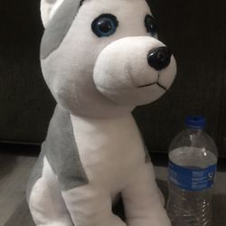 Husky Plush