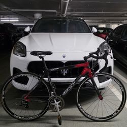 18.8 lb. All-Carbon Giant TCR C3 Racing Bike 