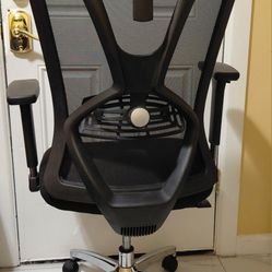 Ergonomic Office Chair