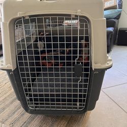XL Dog Kennel For Large Dogs