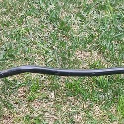 standard EZ curl bar set used for weightlifting exercises