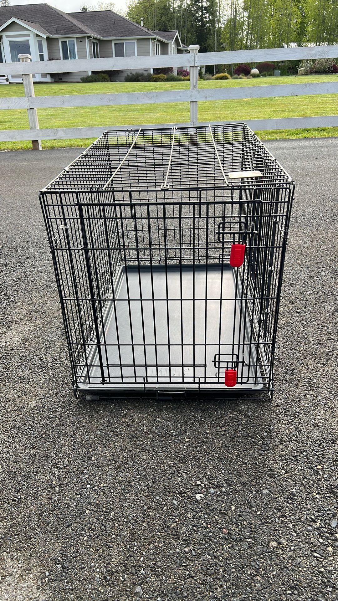 Medium Size Kong Dog Crate