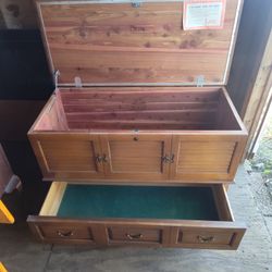 Chest 