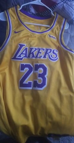 Lebron James lakers jersey