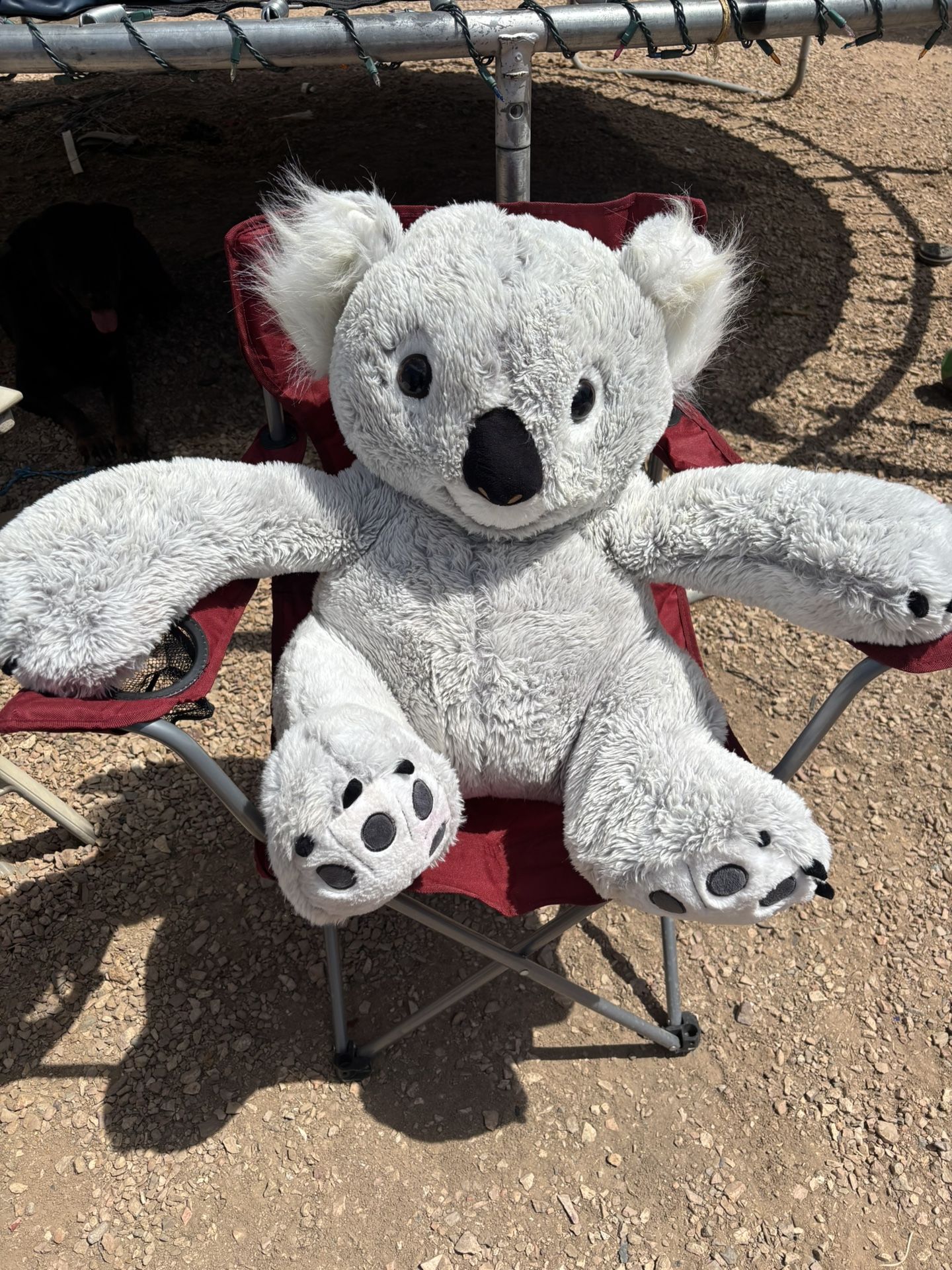 Koala Plushie