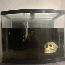 FISHTANK ‼️‼️